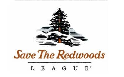 John and Snyder Recruits General Counsel for Save the Redwoods League